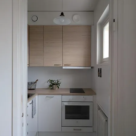 Apartman In The Center, Also Suitable For A Jyväskylä